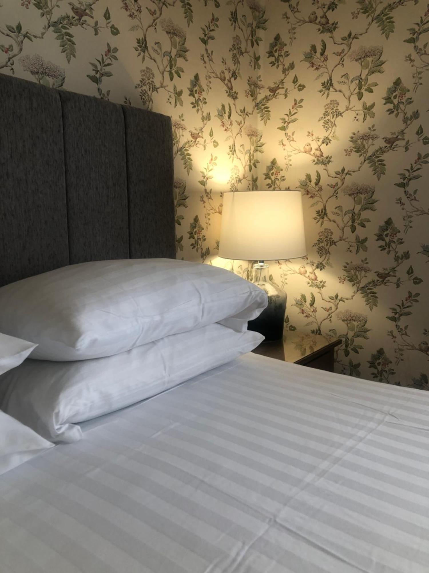 Helmsman Guesthouse 애버리스트위스 외부 사진